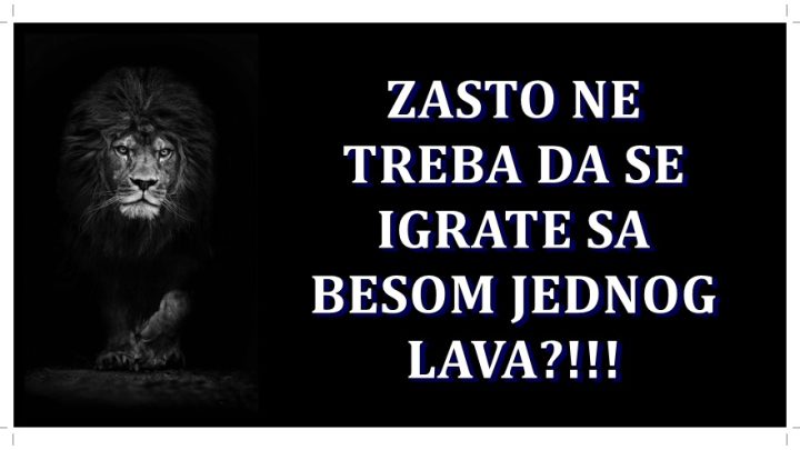 Lav – nikada ne izazivaj njegov bes! Zasto je toliko nezgodan neprijatelj?!