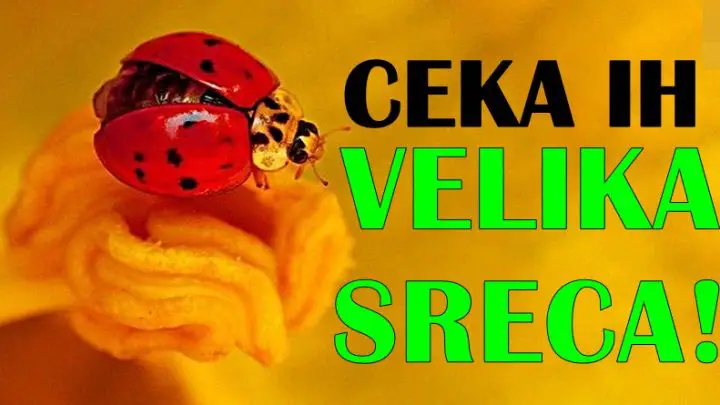 Ceka ih velika sreca do kraja nedelje! Znaci zodijaka koji ce pratiti velika sreca!