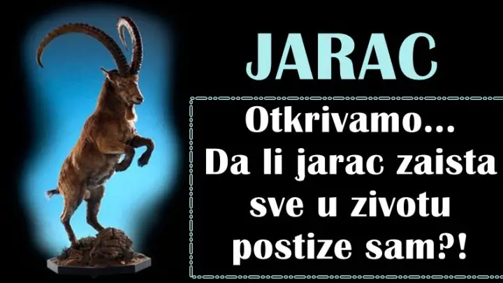 Da li je JARAC nekome dužan za svoj uspeh ili sve čini sam?!