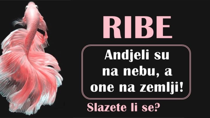 One su andjeli na zemlji! Otkrivamo zasto RIBE nose najlepse titule!