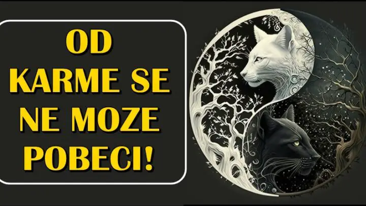 OD KARME SE NE MOZE POBECI! Ona dolazi neocekivano i neke znake ce da NAGRADI, neke da KAZNI!