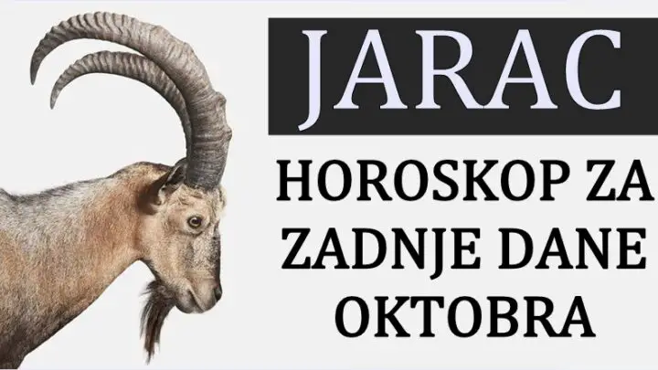 JARCA u ZADNJIM DANIMA OKTOBRA očekuje nešto jako važno! On će imati priliku da PROMENI SVOJ ŽIVOT NA BOLJE!