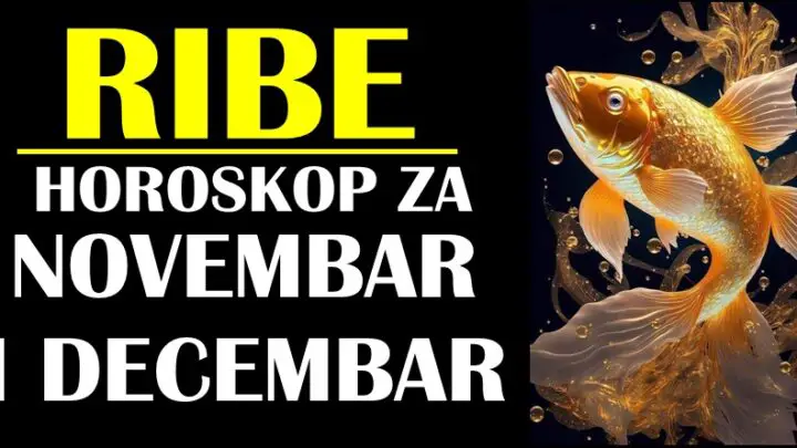 RIBAMA će NOVEMBAR I DECEMBAR biti meseci iz snova! Ove prilike morate iskoristiti!