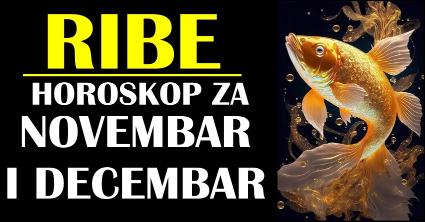 RIBAMA će NOVEMBAR I DECEMBAR biti meseci iz snova! Ove prilike morate iskoristiti!