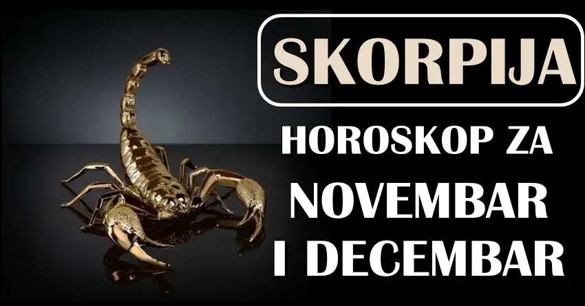 ŠKORPIJE će tokom NOVEMBRA I DECEMBRA doživeti važne stvari! Mogućnost da potpuno PROMENE SVOJ ŽIVOT!