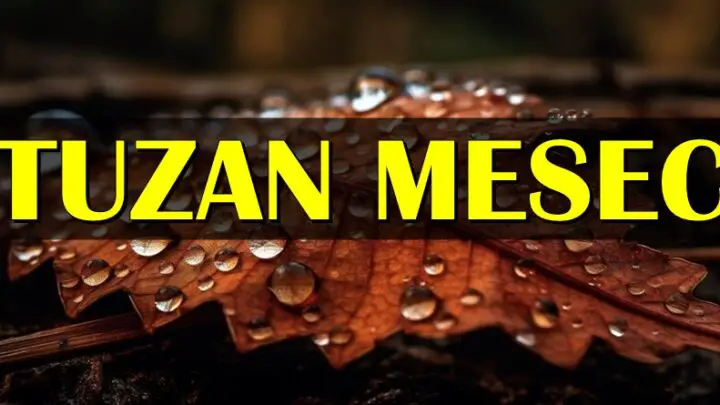 TUŽNI MESEC: Ovi znaci neće moći da IZBEGNU BOL jer im novembar donosi SAMO LOŠE STVARI!