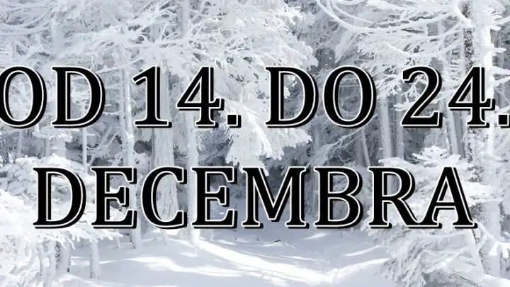 Od 14. do 24. decembra neki znaci treba da se spreme na MAGIČNE PROMENE! Lepe stvari tek dolaze!