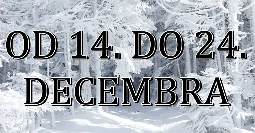 Od 14. do 24. decembra neki znaci treba da se spreme na MAGIČNE PROMENE! Lepe stvari tek dolaze!