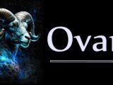 Ovan