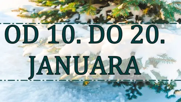 Od 10. do 20. JANUARA Raka čeka promena, Jarca uspeh, a ovaj znak bi mogao da ima veliki problem!