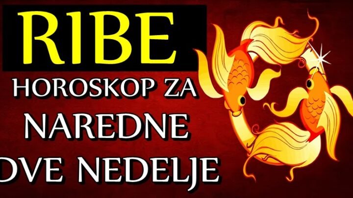 RIBE će u NAREDNE DVE NEDELJE imati VIŠE SREĆE nego što misle! Ostvariće nešto JAKO VAŽNO za njih!