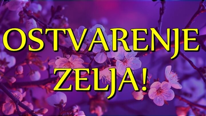 Oni ce ICI na SVE ili NISTA, i moci ce da kazu da su im se ZELJE OSTVARILE: BLAGO OVIM znacima zodijaka!