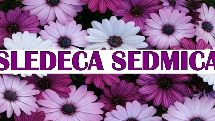 Sledeća sedmica donosi Škorpiji i Jarcu veliki uspeh, dok OVAJ znak ostvaruje svoj veliki san!