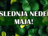 poslednja nedelja maja