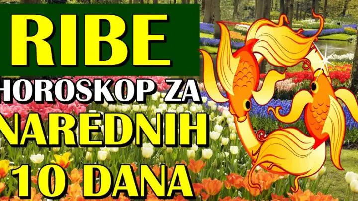 RIBE u NAREDNIH 10 DANA će doživeti VELIKU SREĆU! Zbog ovoga će biti PRESREĆNE!