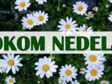 tokom ove nedelje