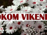 vikend