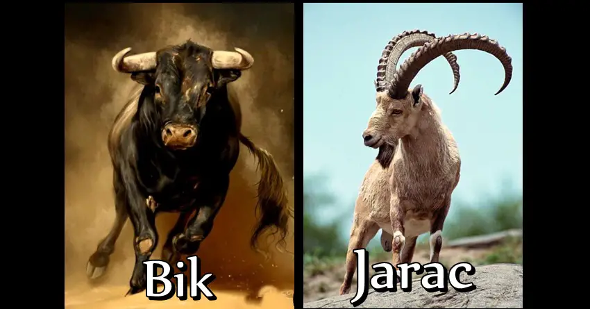 Bik i Jarac su NAJMOĆNIJI znaci zodijaka! Imaju VELIKO SRCE i DUŠU ANDJELA, ali nikada neće dozvoliti OVO!