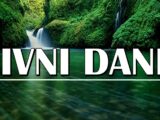 Divni dani