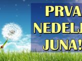 prva nedelja juna