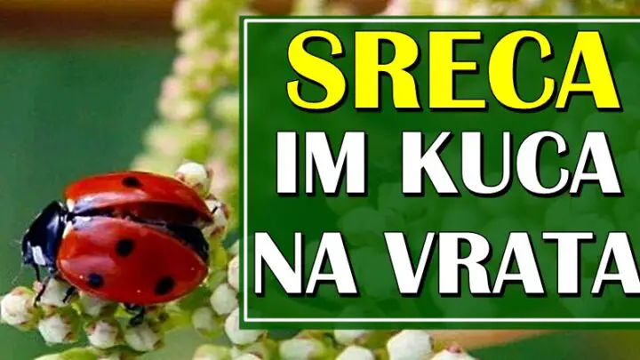 SREĆA će KUCATI NA NJIHOVA VRATA: OVAN, RAK i JARAC ce DOZIVETI NESTO po cemu ce ZAUVEK PAMTITI MESEC JUN