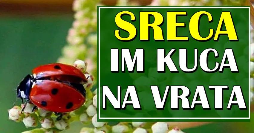 SREĆA će KUCATI NA NJIHOVA VRATA: OVAN, RAK i JARAC ce DOZIVETI NESTO po cemu ce ZAUVEK PAMTITI MESEC JUN