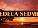 sledeća sedmica