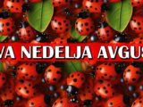 prva nedelja avgusta