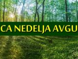 TREĆA NEDELJA AVGUSTA