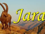 jarac