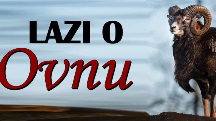 O OVNOVIMA kruže razni PREDRASUDI! Ljudi ovo MISLE o njima, a to NIJE ISTINA