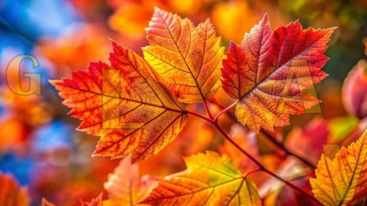 SLOVA SE KRIJU NA SLICI! Otkrij četiri slova koja su skrivena i dokaži da si ČISTI GENIJE!