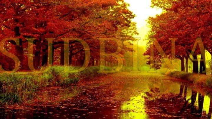 JESEN je na slici, a tu se KRIJE skrivena REČ! Otkrij koja reč je u pitanju i pokaži svoju MOŽ OPAŽANJA!