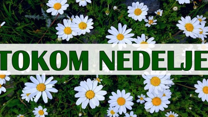 Ove nedelje Ovna očekuju promene, Ribe važne odluke, a OVAJ znak veliki uspeh!