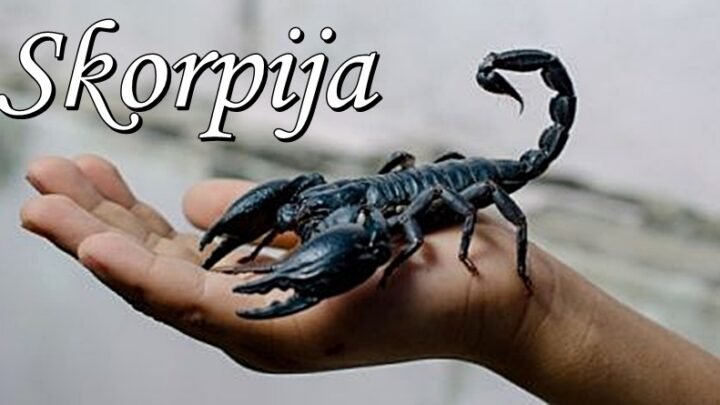 KARMA će u OKTOBRU biti NAKLONJENA ŠKORPIJAMA! Sledi NAGRADA kakvu ne očekuju!