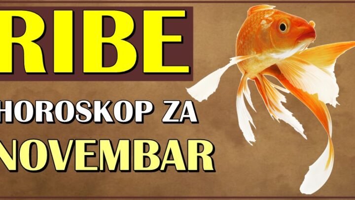 RIBE u NOVEMBRU očekuje VELIKA NAGRADA SUDBINE! Njihov život se menja iz korena!