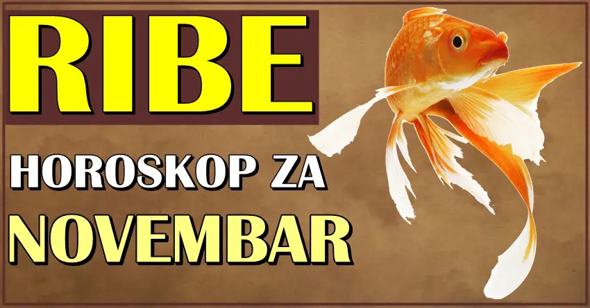 RIBE u NOVEMBRU očekuje VELIKA NAGRADA SUDBINE! Njihov život se menja iz korena!