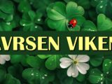 savršen vikend