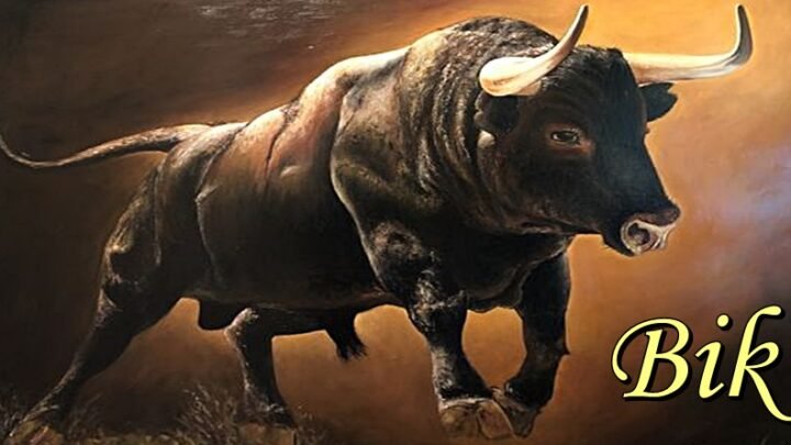 BIK će u NAREDNIH 15 DANA uspeti da se izbori za nešto važno! Ogromna sreća mu sledi!