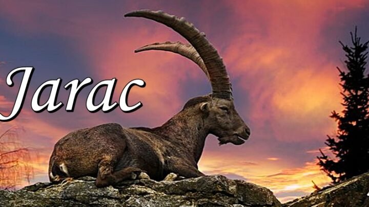 JARČEVI zaslužuju NAJBOLJE u ŽIVOTU! Njihovo SRCE je ogromno, a zbog ovoga su NEZAMENLJIVI!