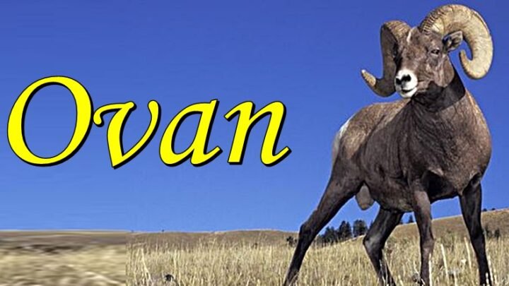 OVNOVI u NAREDNIH 15 DANA mogu da očekuju NAJVAŽNIJA DEŠAVANJA u životu! Ovome se ni ne nadaju!