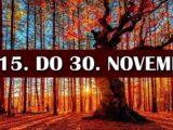 Od 15. do 30. novembra slede VELIKE PROMENE I PRILIKE! Bik donosi važnu odluku, a OVOM znaku sledi prilika da se obogati!