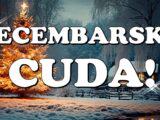 DECEMBAR ce OVIM znacima biti NAJSAVRSENIJI – dolazi VREME CUDA!