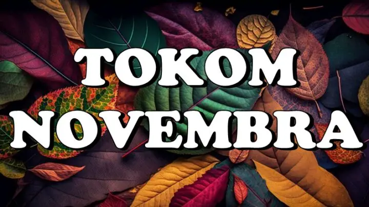 Novembar donosi Devici i Jarcu mir i zadovoljstvo, a OVOM znaku veliki novčani dobitak!