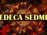 sledeća sedmica