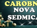 nova sedmica decembra