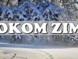 tokom zime