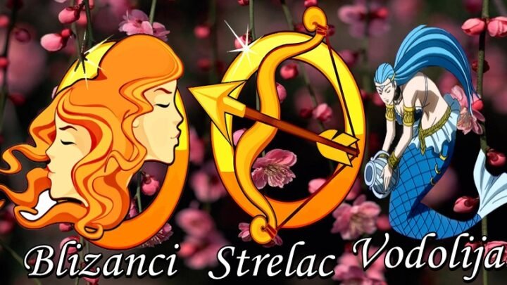 Blizanci, Strelčevi i Vodolije su osobe koja zaslužuju sreću, jer su pre svega osobe koje nose OSMEH i kada ih duša boli! Zato će im MART ostvariti VELIKU ŽELJU!