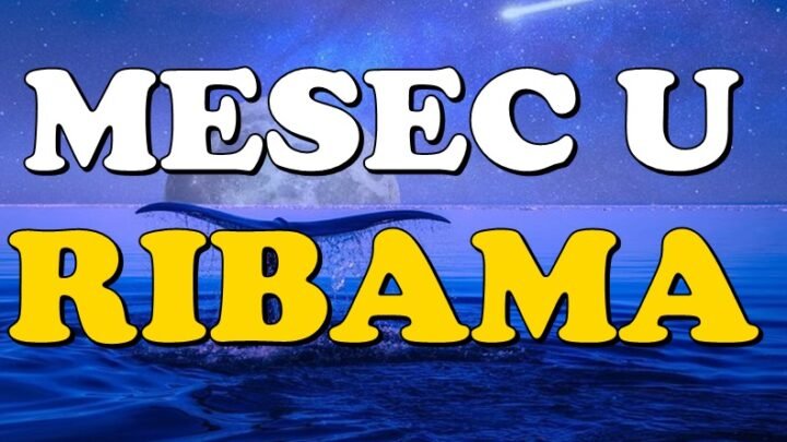 Nebeska inspiracija u punom sjaju: Mesec u Ribama donosi ISCELJENJE ovim znacima!