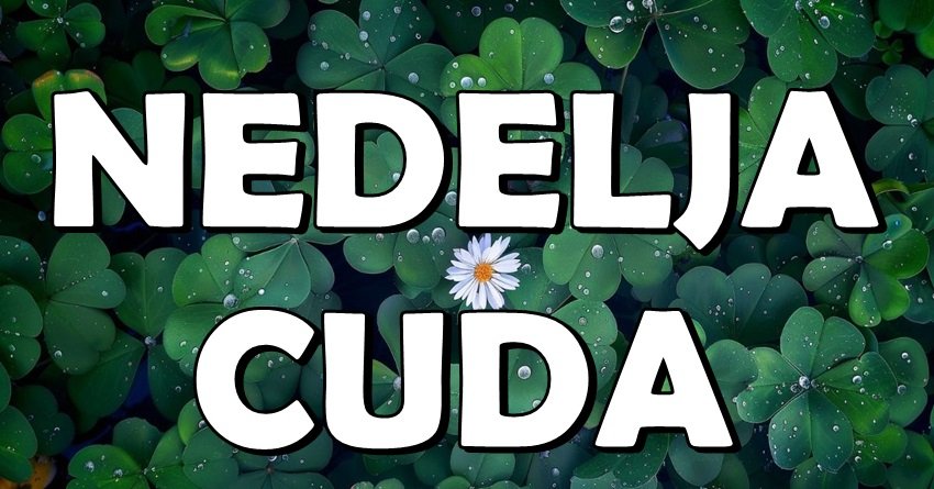 NEDELJA ČUDA: Od 9. do 16. juna OVI znakovi doživljavaju SREĆU, LJUBAV i USPEH!